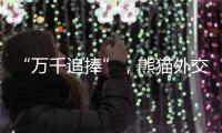 “万千追捧”，熊猫外交背后