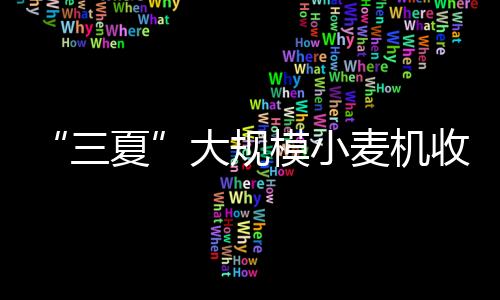 大规点当前麦收进度已近两成