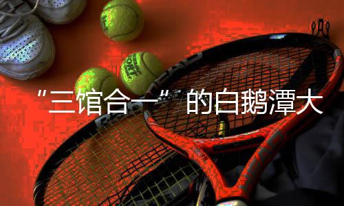 馆内布展正紧锣密鼓进行中