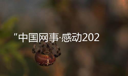 扫描滚下纵深30米的中国山崖
