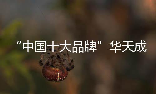 大品前提也是牌华做好选择