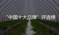 “中国十大品牌”评选榜单揭晓 索菲亚指纹锁捷报频传