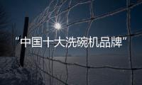快排公司十年历程，霸屏兔 seo 的崛起与坚守