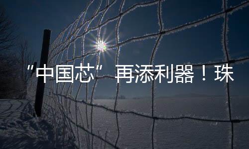 服务的中国芯全产业链能力