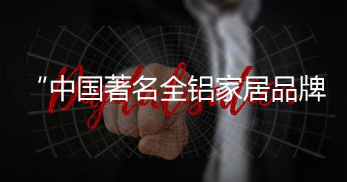 成为国内领先品牌的全铝