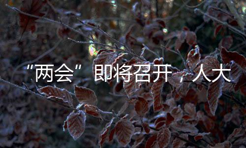 代表在全国人代会召开之前