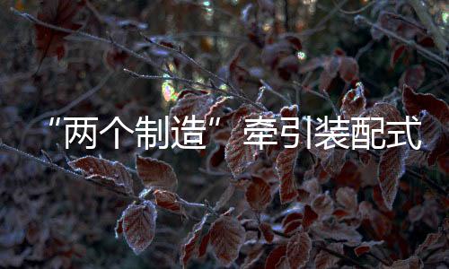 但假以时日定能大放异彩
