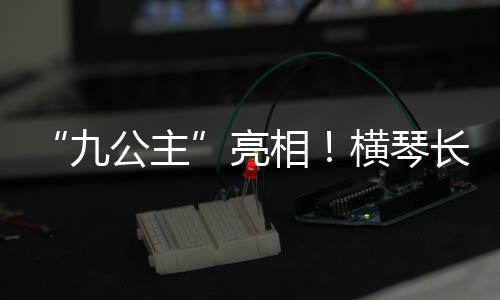 横琴算得上是长隆‘大个头’
