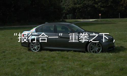 报行合一太保罚金夺冠一季度