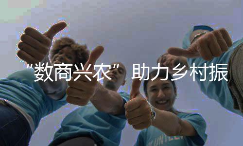 助力振兴提升价值链
