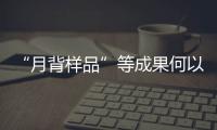 “月背样品”等成果何以入选？专家解读“中国科学十大进展”