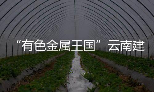 中国工程院院士干勇表示