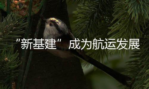 航运“以港口建设为例