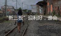 “新三板”迎利好，谁会是涂料领域蹦出的下一匹“黑马”?