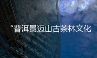 “普洱景迈山古茶林文化景观”	
，申遗成功