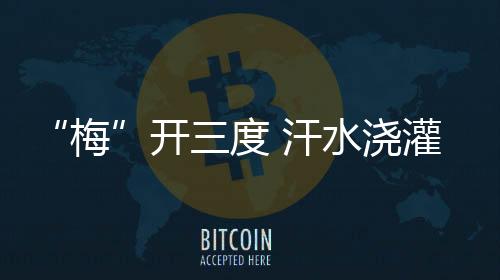 第三天出战女子3000米