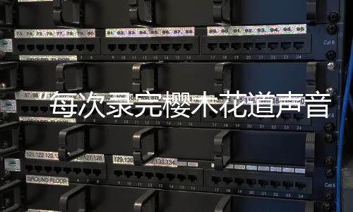 花道我一个人配了很多角色