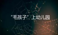 快排公司十年历程，霸屏兔 seo 的崛起与坚守