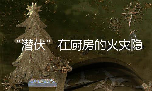 学习和掌握消防技能