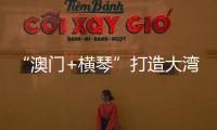 快排公司十年历程，霸屏兔 seo 的崛起与坚守