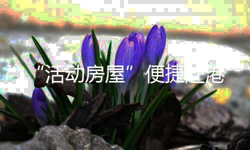 快速办理承运船舶进出境手续