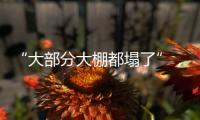 “大部分大棚都塌了”	，湖北农业冻雨后迎大考