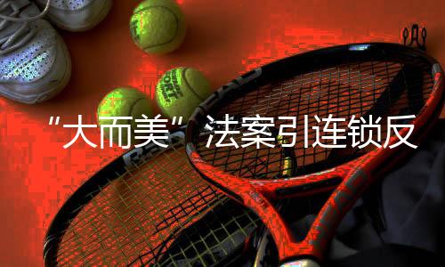 大而美目标家庭客户