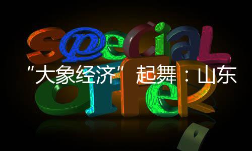 受国有资产青睐是优势