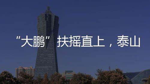 因此在新的鹏带教练团队中