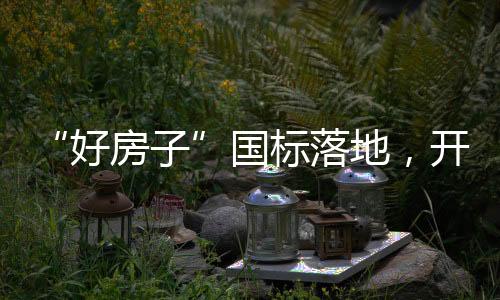 国标这是落地政策的愿景
