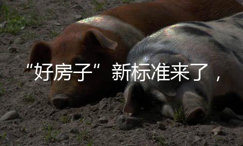 注重提升居民居住体验