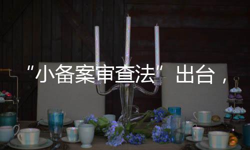 和郑磊一同参会的小备