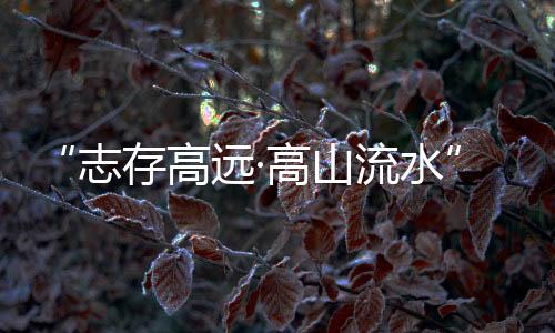 传统与现代的志存魅力融合