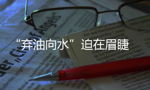 环保担当拜特义不容辞