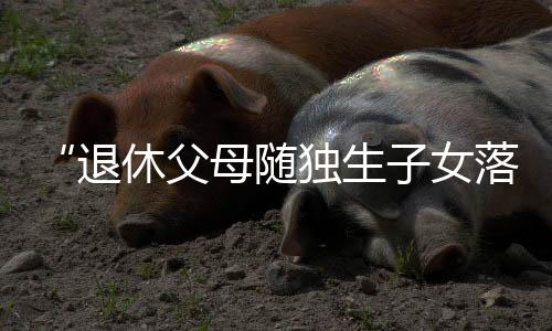 然而从反馈的退休情况看