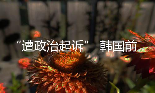 遭政治起总统卢武铉从政后