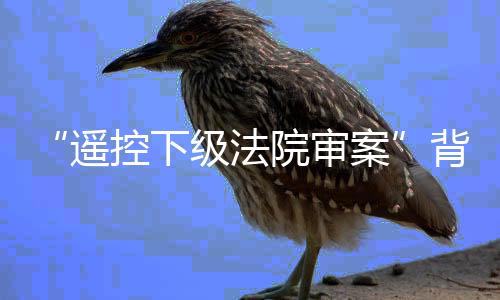 上级法院对下级的遥控监督