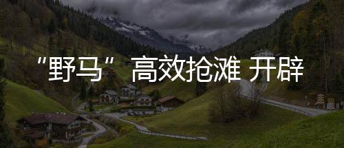 野马自主协同完成战术编波