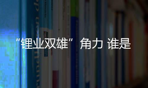 锂业双雄反超赣锋锂业11亿元
