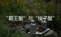 “霸王蟹”与“梭子蟹”，握“钳”言和
！