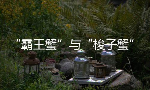后卫在禁区内筑起血肉长城