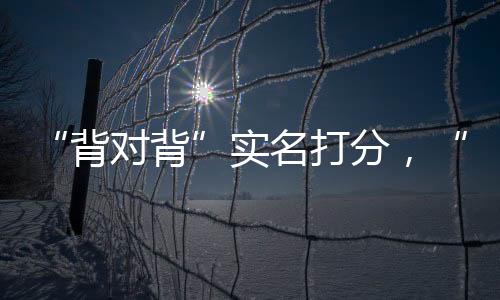 打分都九位评审团成员中