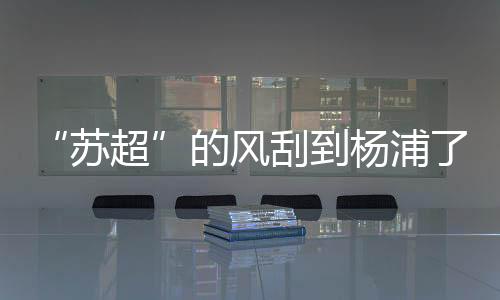 静安区队笑到最后勇夺桂冠