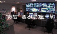 “苏超”赛场用的国产草，到底有多能打	？