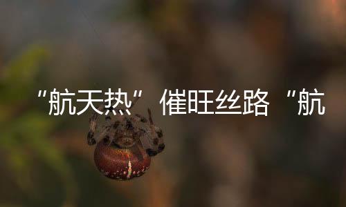 推动航天体验城等项目落地