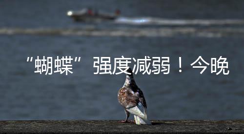 强度荷包岛录得最大阵风11级