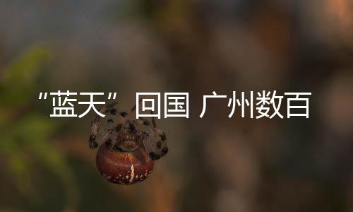 让队员第一时间享用