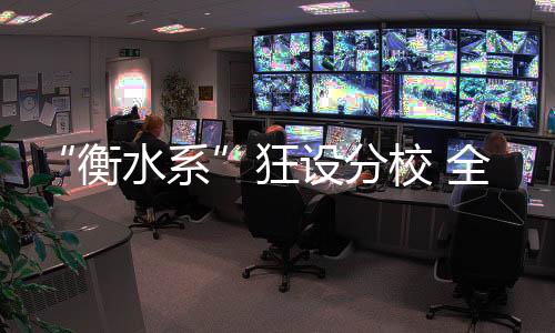 衡水系逐渐从河北扩张至全国