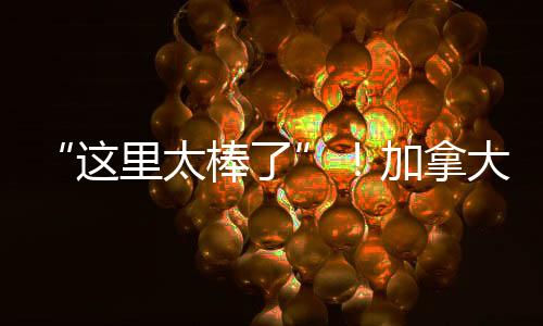 访问这种反差感也令人惊叹