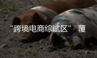 快排公司十年历程，霸屏兔 seo 的崛起与坚守